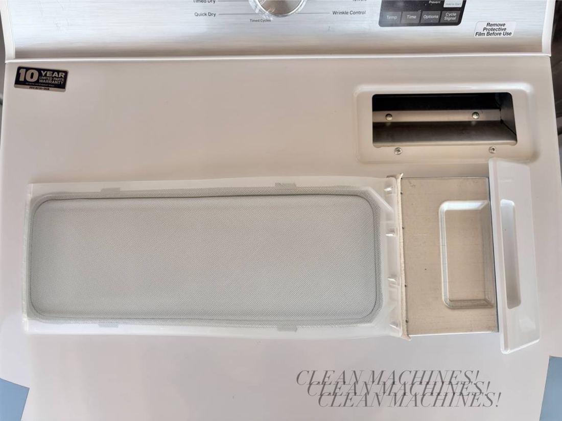 Dryer lint filter